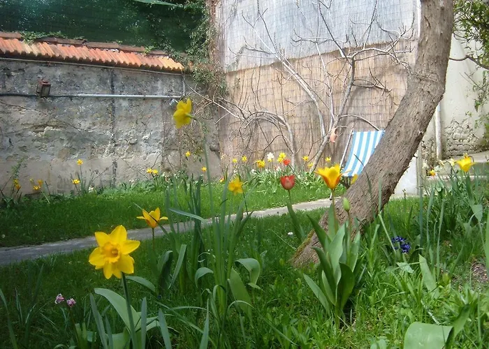Le Jardin de Cécile et Benoit - Bed&Breakfast
